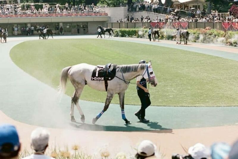 Tokyo: Horse Racing Experience with Local Fan - Who Should Consider This Tour?