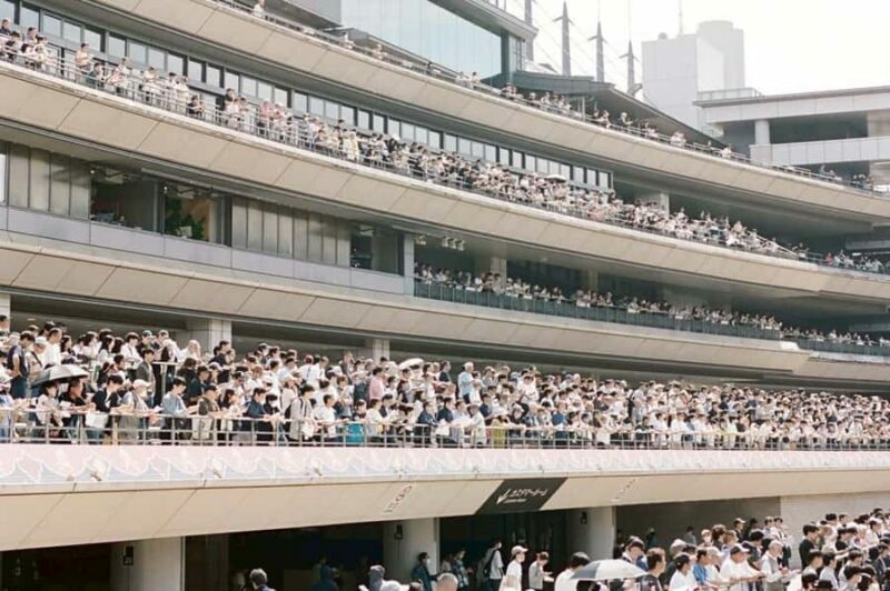 Tokyo: Horse Racing Experience with Local Fan - FAQ