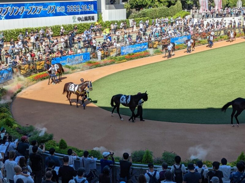 Tokyo: Horse Racing Tour – A Local Experience Like No Other - Key Points