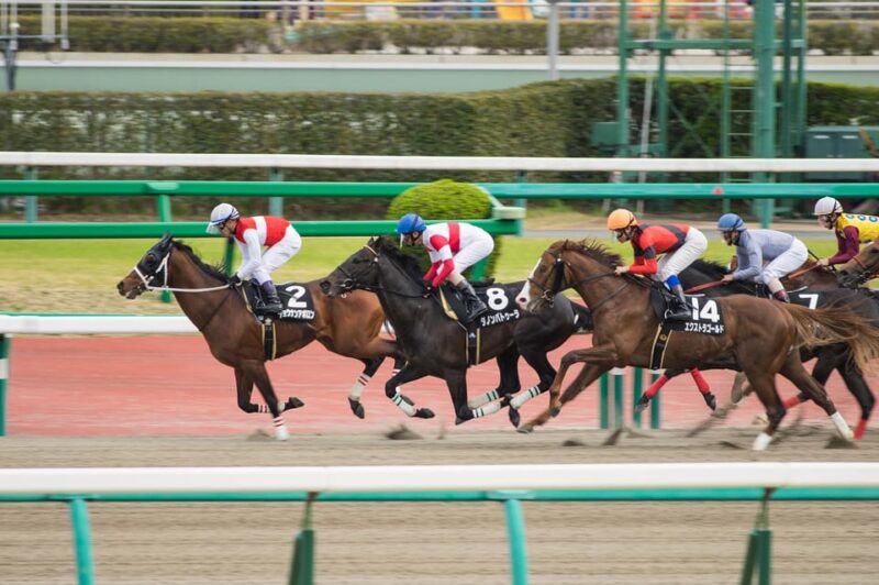 Tokyo: Horse Racing Tour – A Local Experience Like No Other - Pricing and Inclusions