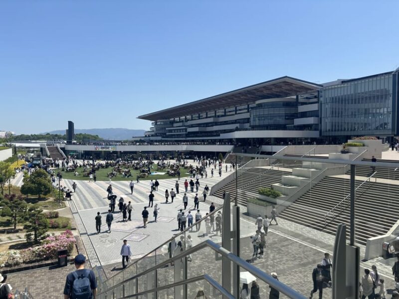 Tokyo: Horse Racing Tour – A Local Experience Like No Other - Discovering Local Horse Racing Culture