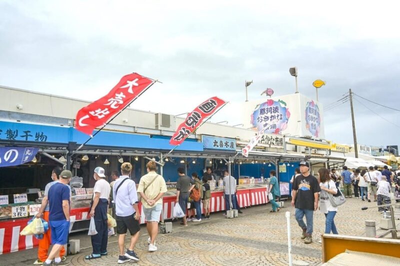 Tokyo: Ibaraki Shrine, Seafood Market & Flower Sea Day Tour - Key Points