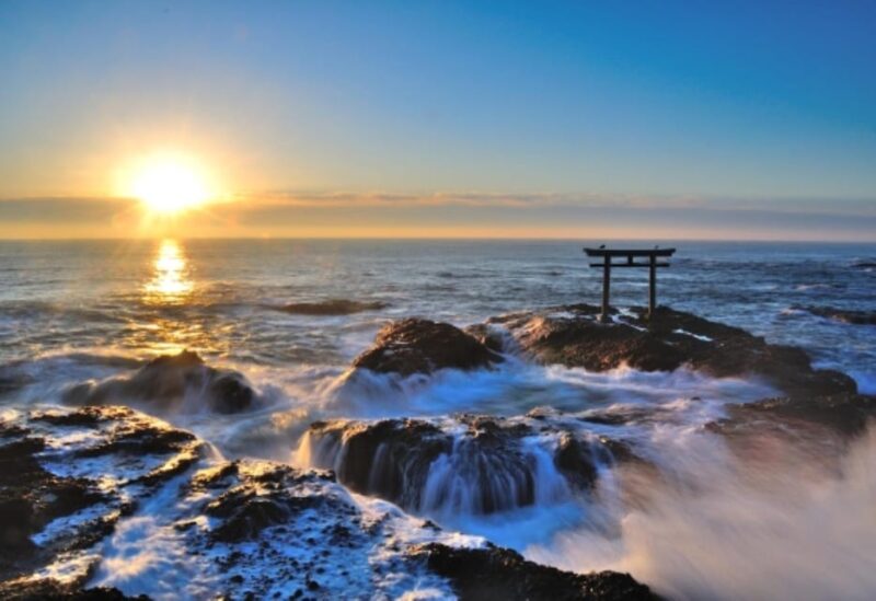 Tokyo: Ibaraki Shrine, Seafood Market & Flower Sea Day Tour - Transportation and Logistics