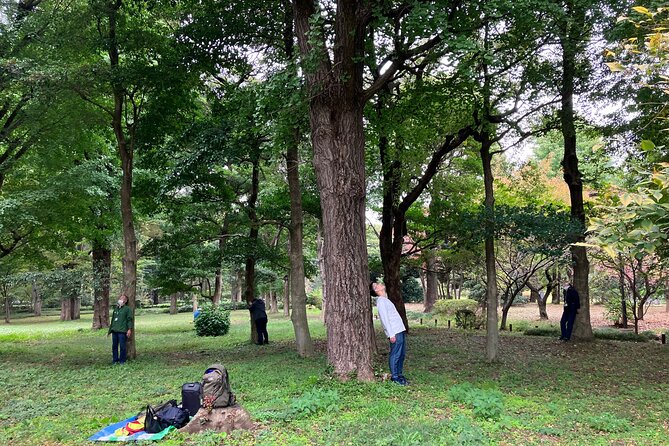 Tokyo Imperial Palace Higashi Gyoen Wellness Tour - Tour Overview