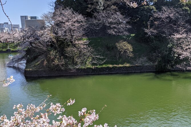 Tokyo Imperial Palace Higashi Gyoen Wellness Tour - Confirmation and Recommendations
