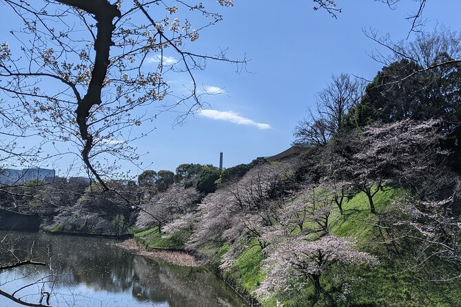Tokyo Imperial Palace Higashi Gyoen Wellness Tour - Transportation and Accessibility