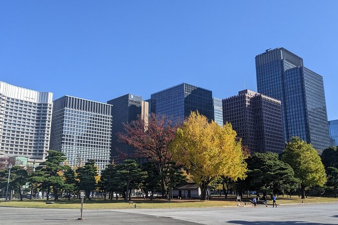 Tokyo Imperial Palace Higashi Gyoen Wellness Tour - Tour Highlights and Activities