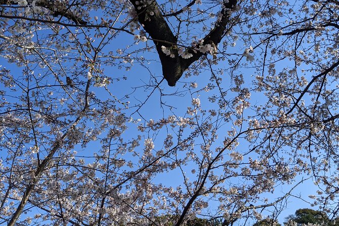 Tokyo Imperial Palace Higashi Gyoen Wellness Tour - Additional Information