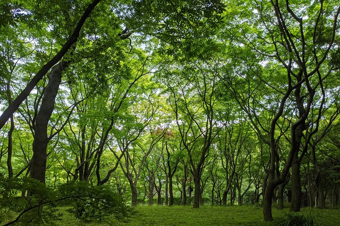 Tokyo Imperial Palace Higashi Gyoen Wellness Tour With Lunch - Tour Itinerary