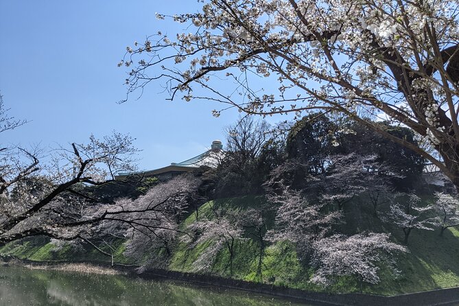 Tokyo Imperial Palace Higashi Gyoen Wellness Tour With Lunch - Excluded Expenses
