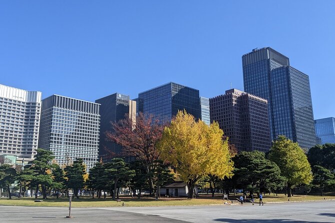 Tokyo Imperial Palace Higashi Gyoen Wellness Tour With Lunch - Frequently Asked Questions