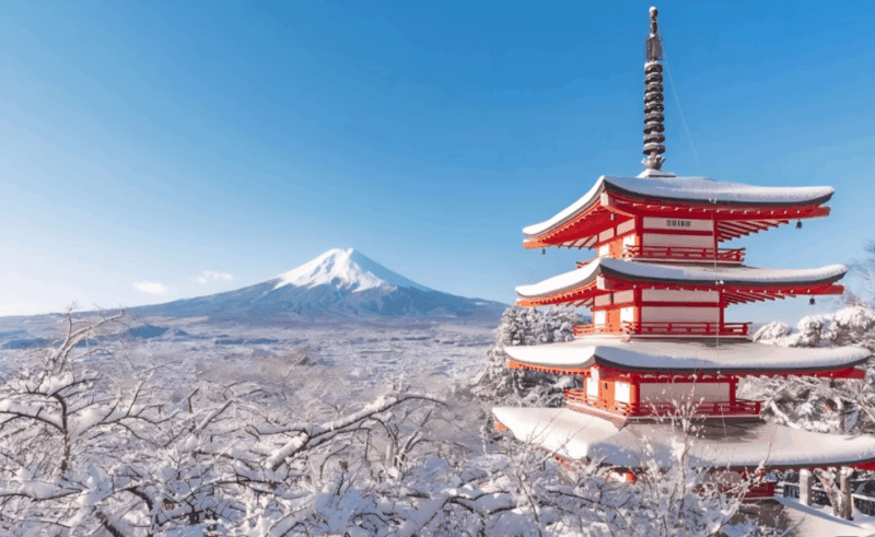 Tokyo: Instagram-Worthy Mt Fuji & Lake Kawaguchiko Day Trip - Itinerary Highlights