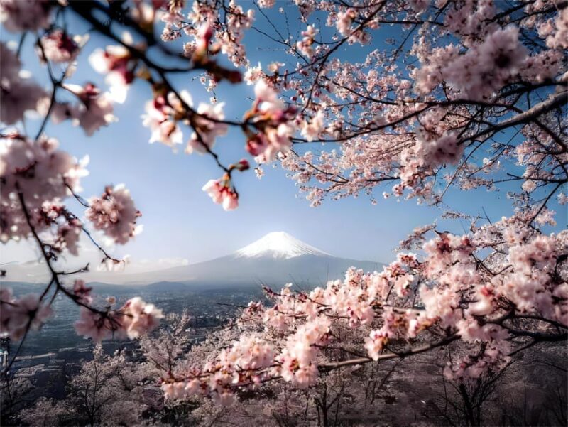 Tokyo: Instagram-Worthy Mt Fuji & Lake Kawaguchiko Day Trip - Important Information and Recommendations