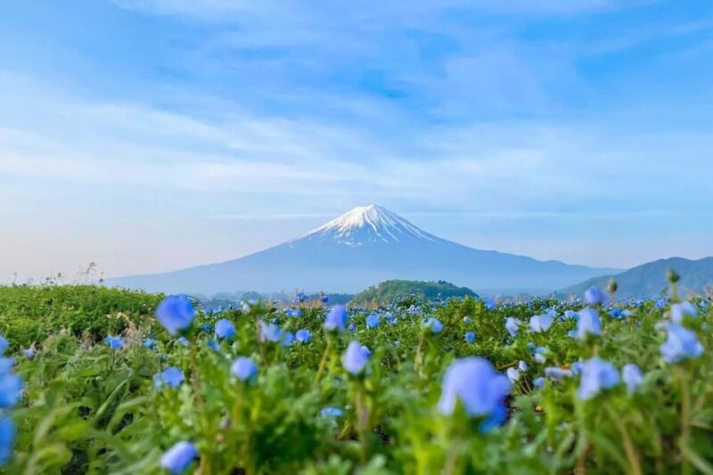 Tokyo: Instagram-Worthy Mt Fuji & Lake Kawaguchiko Day Trip - Fujiyoshida: Hikawa Clock Shop and "Stairway to Heaven"