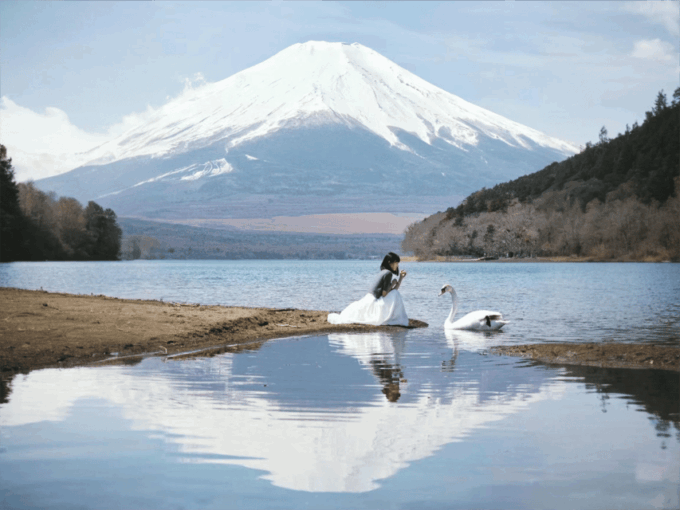 Tokyo: Instagram-Worthy Mt Fuji & Lake Kawaguchiko Day Trip - Important Considerations