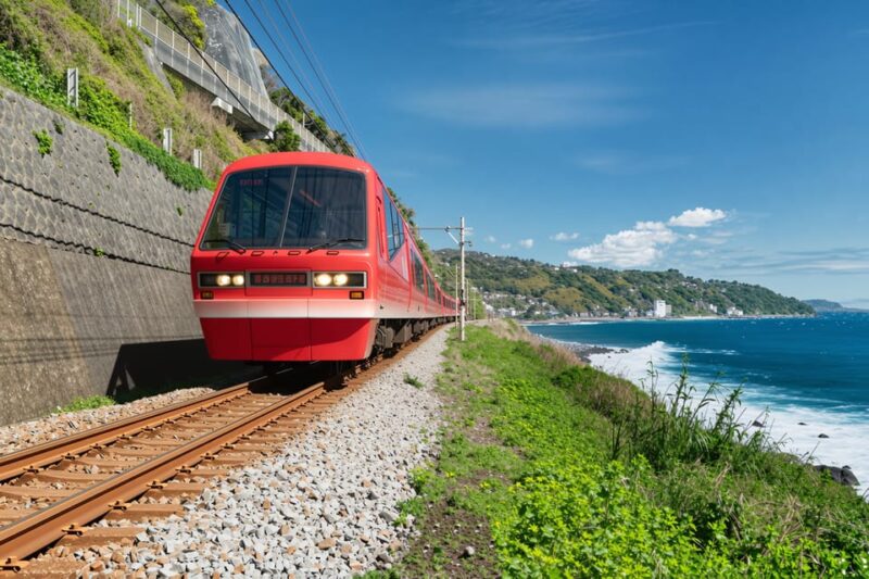 Tokyo: Izu Scenic Train &Kawazu Cherry Blossom & HotelPickup - Key Points