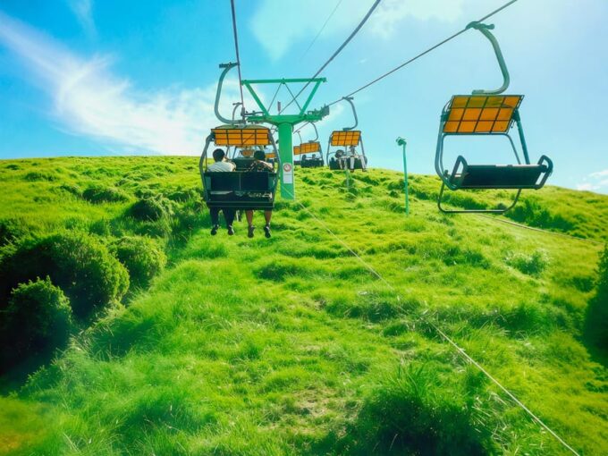 Tokyo: Izu Scenic Train &Kawazu Cherry Blossom & HotelPickup - Kawazu Cherry Blossom Festival