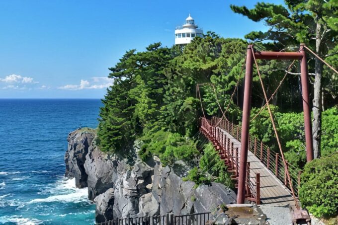 Tokyo: Izu Scenic Train &Kawazu Cherry Blossom & HotelPickup - Additional Information