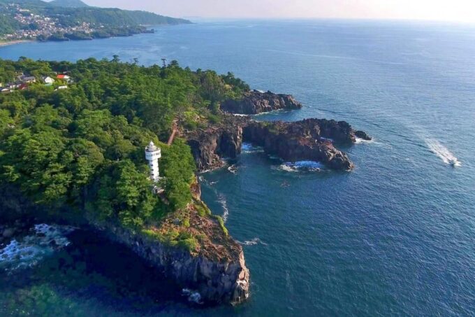 Tokyo: Izu Scenic Train &Kawazu Cherry Blossom & HotelPickup - Frequently Asked Questions