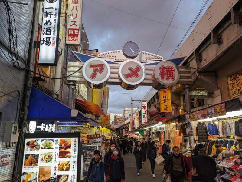 Tokyo Japanese Food Hopping Tour in Ueno Ameyoko at Night - Trying Local Sweets