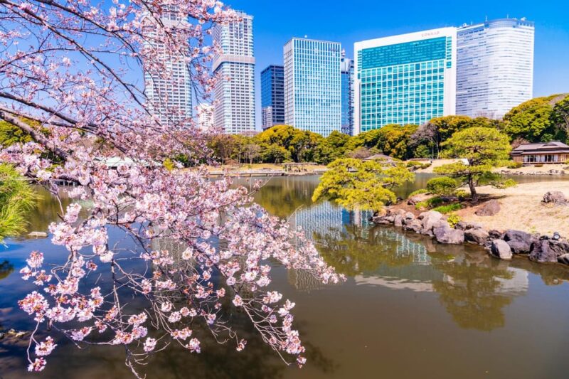 Tokyo: Japanese Garden Walking Tour With Tea and Sweets - Key Points