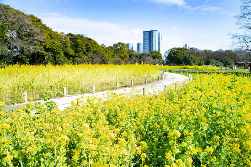 Tokyo: Japanese Garden Walking Tour With Tea and Sweets - Exploring Hamarikyu Gardens