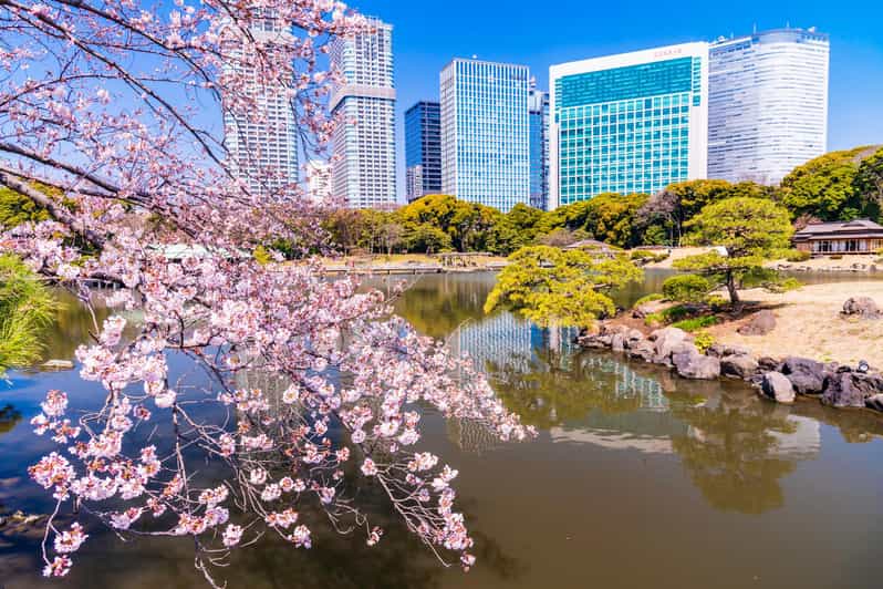 Tokyo: Japanese Garden Walking Tour With Tea and Sweets - Matcha Tea and Wagashi