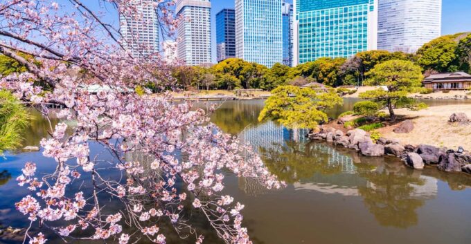 Tokyo: Japanese Garden Walking Tour With Tea and Sweets - Visitor Impressions