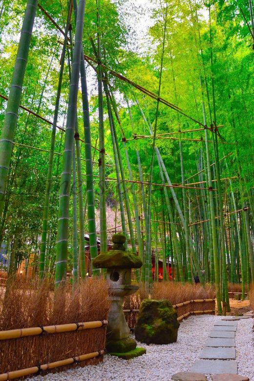 Tokyo: Kamakura Private Tour English Speaking Driver - Tips for a Memorable Experience