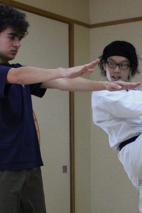 Tokyo: Karate Experience With Former All-Japan Champion - Karate Techniques: Punches, Blocks, and Kicks