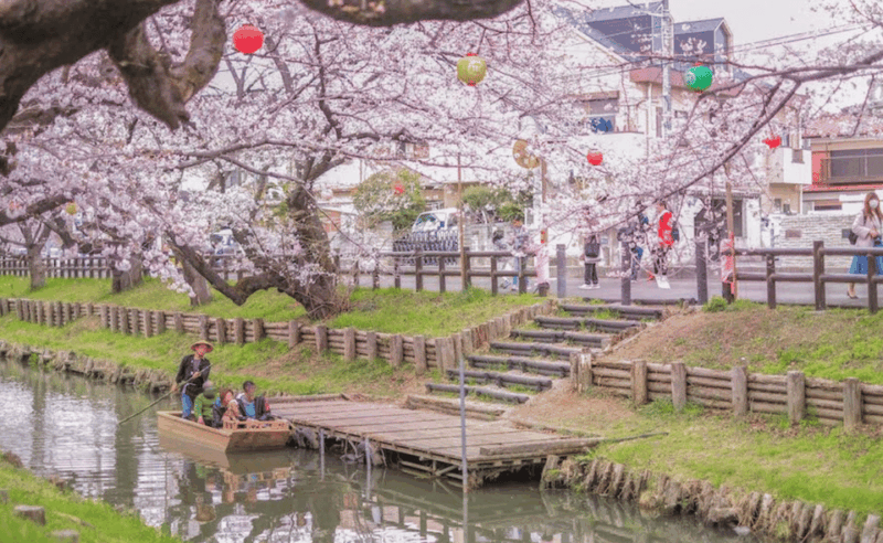 Tokyo: Kawagoe Private Day Trip With Hotel Pickup - Transportation and Accessibility