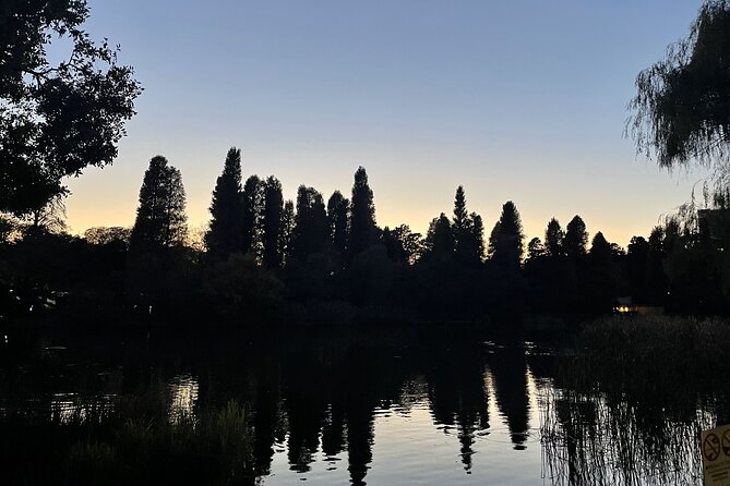 Tokyo Kichijoji Twilight: Explore Instagram-Worthy Hidden Spots - Navigating the Tour With a Professional Guide