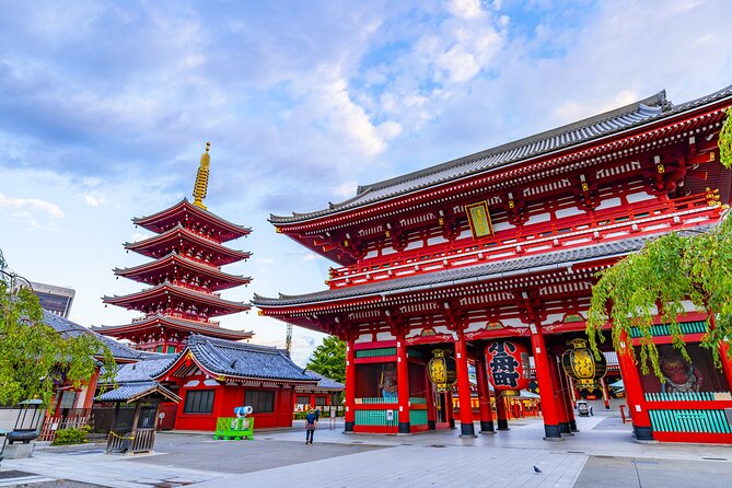 Tokyo Layover Tour English Speaking Driver Only : NRT Airport Dep - Whats Included