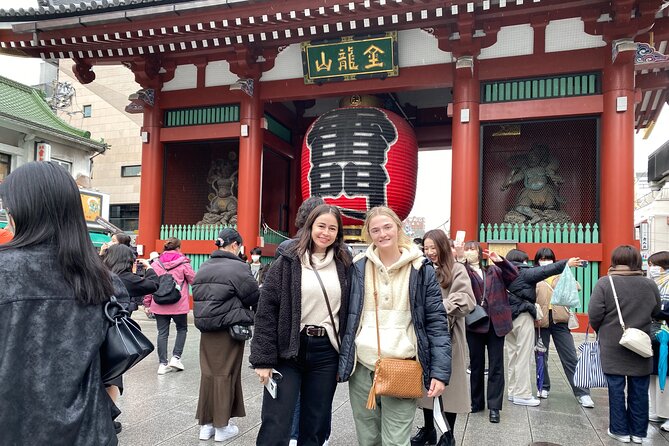 Tokyo Layover Tour With Licensed Guide & Vehicle: NRT Airport Dep - Luggage Considerations