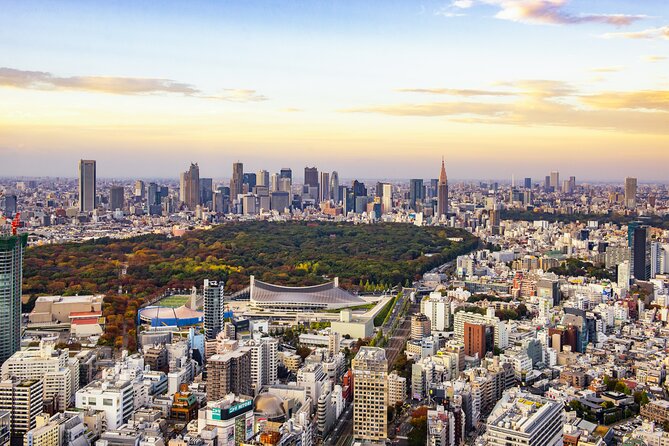 Tokyo Layover Tour With Licensed Guide:Narita Airport Dep - Customizable Walking Tour