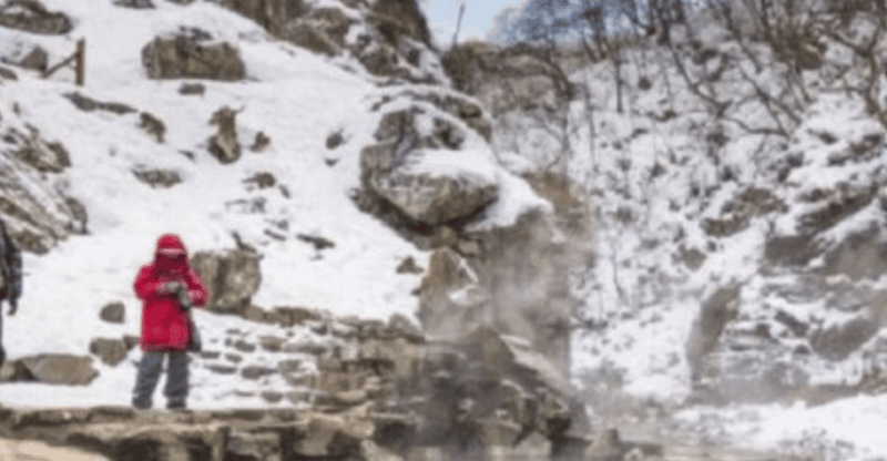 Tokyo: Luxury Snow Monkey Park Private Tour In Land Cruiser - Included and Excluded Features
