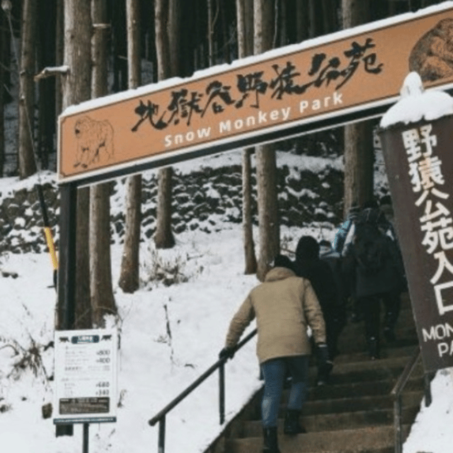 Tokyo: Luxury Snow Monkey Park Private Tour In Land Cruiser - Transportation and Pickup