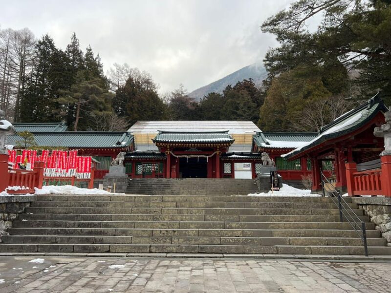 Tokyo: Luxury Snow Monkey Park Private Tour In Land Cruiser - Jigokudani Monkey Park Visit