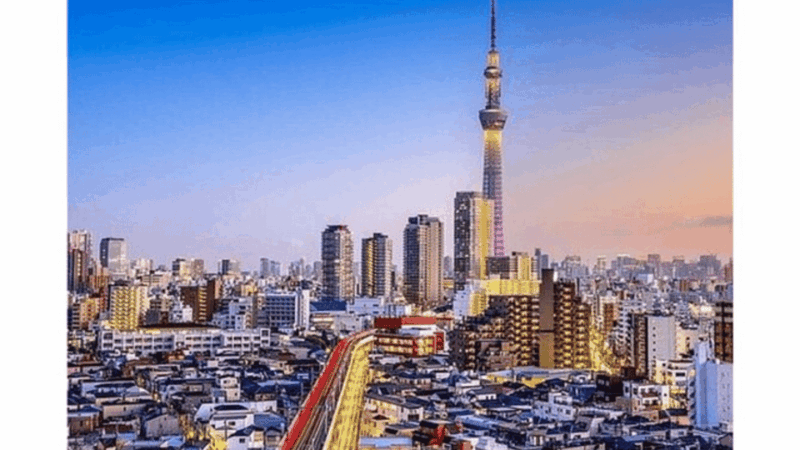 Tokyo: Luxury Tokyo Private City Tour In Luxury Land Cruiser - Tour Highlights