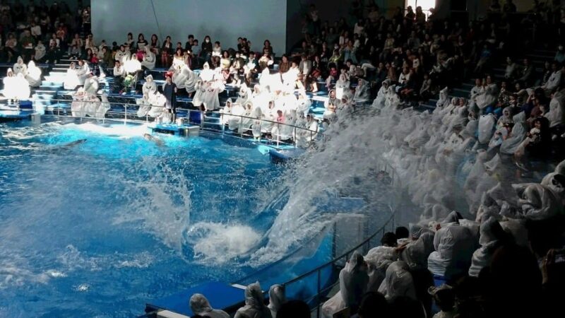 Tokyo: Maxell Aqua Park Shinagawa Entry Ticket - Key Points