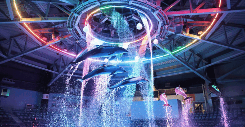 Tokyo: Maxell Aqua Park Shinagawa Entry Ticket - Highlights of Marine Life