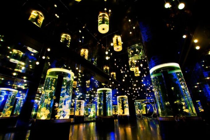 Tokyo: Maxell Aqua Park Shinagawa Entry Ticket - Education and Entertainment