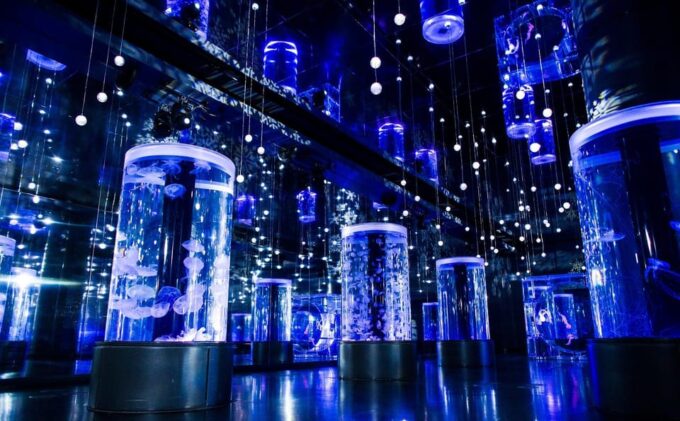 Tokyo: Maxell Aqua Park Shinagawa Entry Ticket - Marine Conservation Emphasis