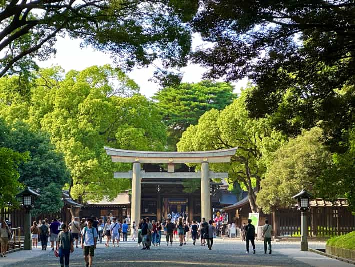 Tokyo: Meiji Jingu Shrine Historical Walking Tour - Highlights of the Walking Tour
