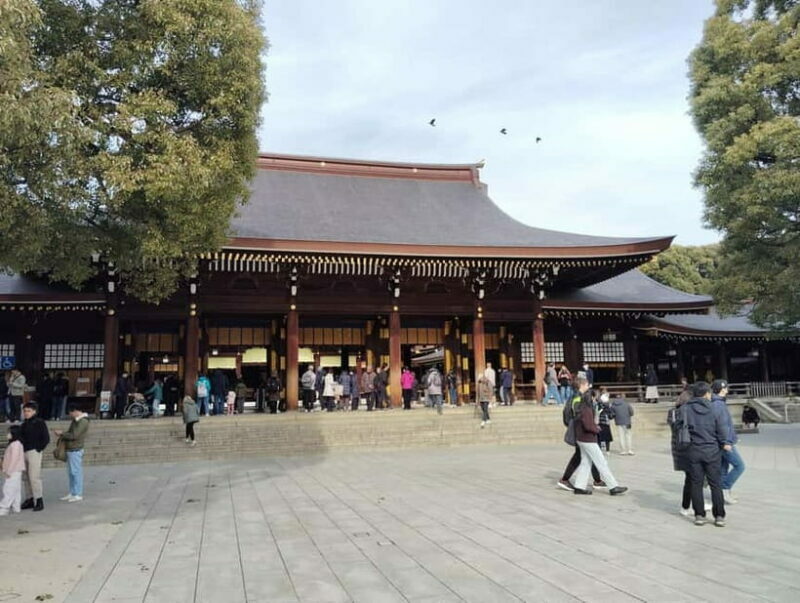 Tokyo: Meiji Jingu Shrine & Inner Garden Guided Tour (2h) - Who Will Love This Tour?
