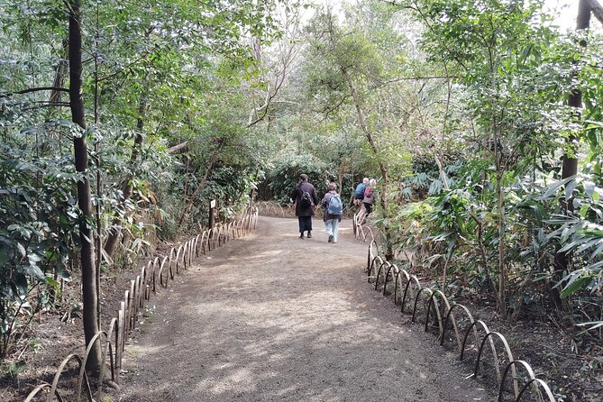 Tokyo: Meiji Jingu Shrine & Inner Garden Private Tour (2h) - Tour Duration and Group Size