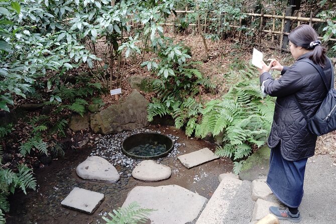Tokyo: Meiji Jingu Shrine & Inner Garden Private Tour (2h) - Transportation and Route