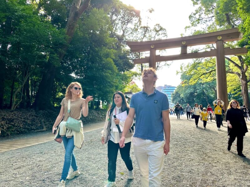 Tokyo: Meiji Shrine Historical Tour by Japanese Guide - Experience and Highlights