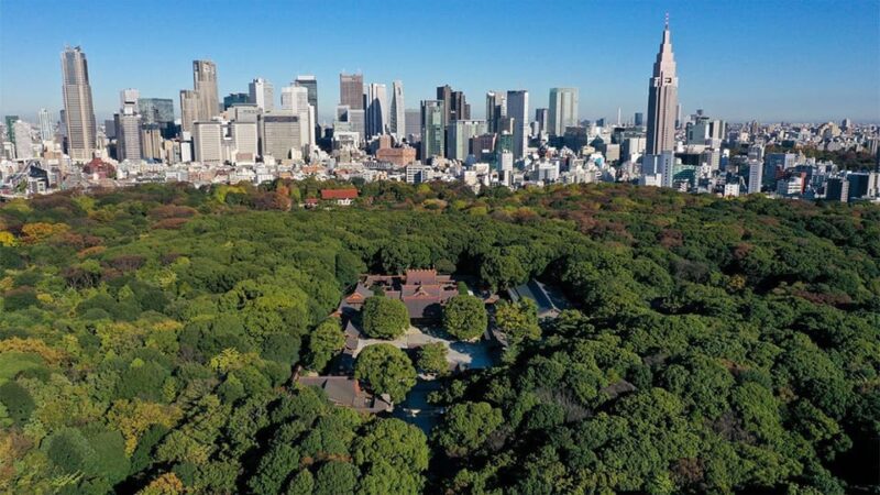 Tokyo: Meiji Shrine Historical Tour by Japanese Guide - Itinerary