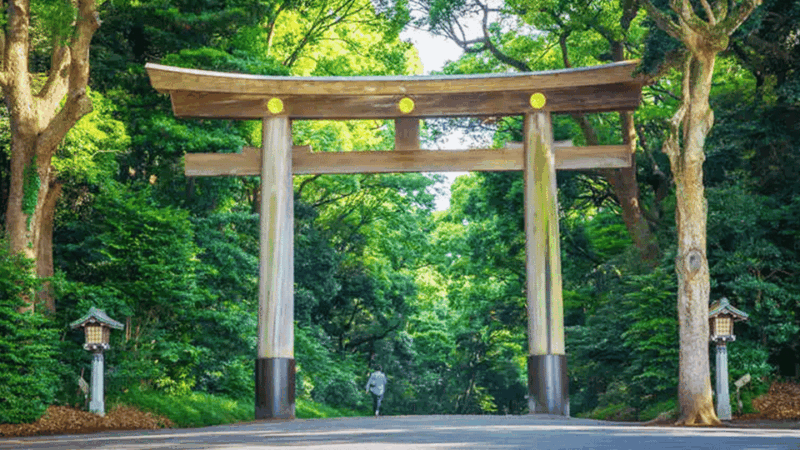 Tokyo: Meiji Shrine Historical Tour by Japanese Guide - Additional Amenities